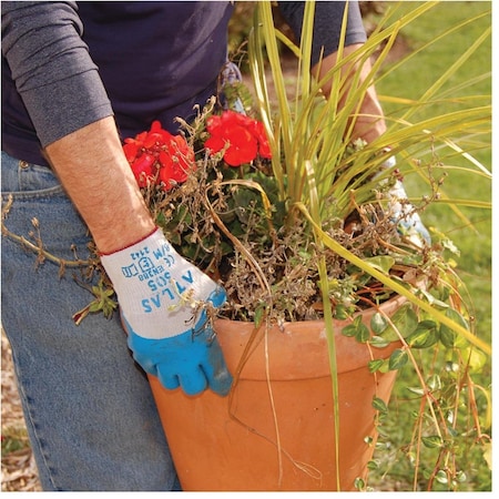 Showa Latex, Blue, M 1 PR 305M-08